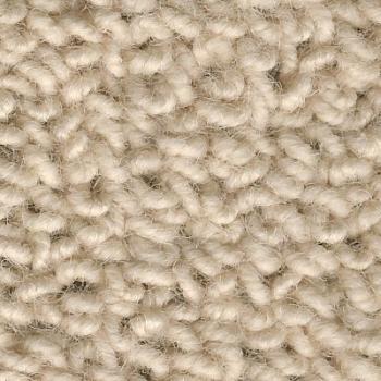 hochwertiger Kräusel-Schlingen-Teppich, 1/8" getuftet, aus reiner neuseeländischer Schurwolle